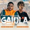 Album cover art for Vamos pra Gaiola