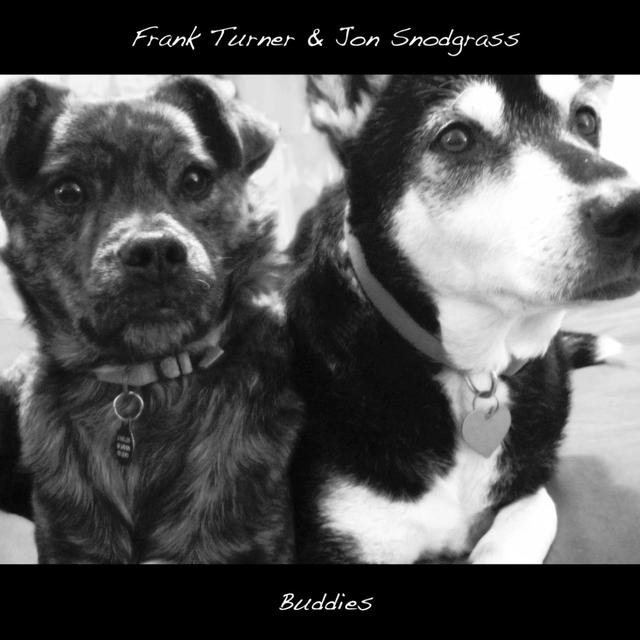 Album cover art for Buddies