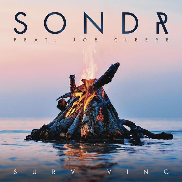 Album cover art for Surviving