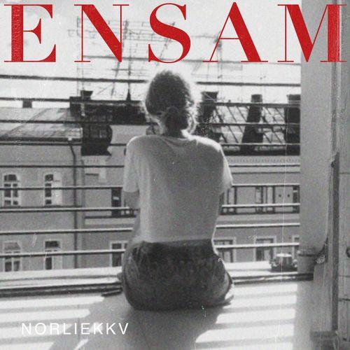 Album cover art for Ensam