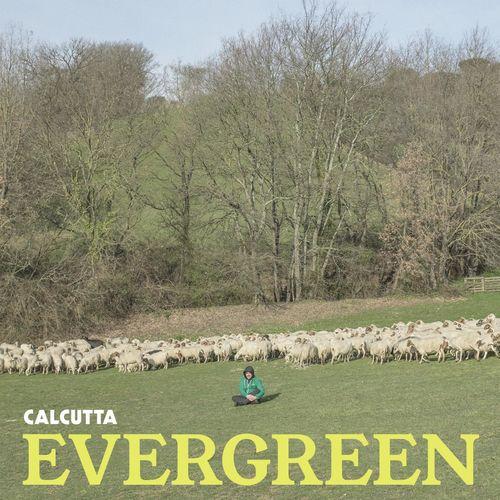 Album cover art for Evergreen