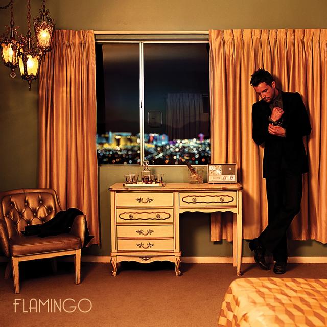 Album cover art for Flamingo