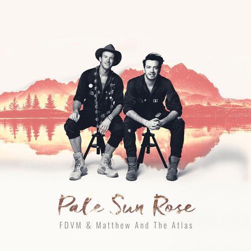 Album cover art for Pale Sun Rose