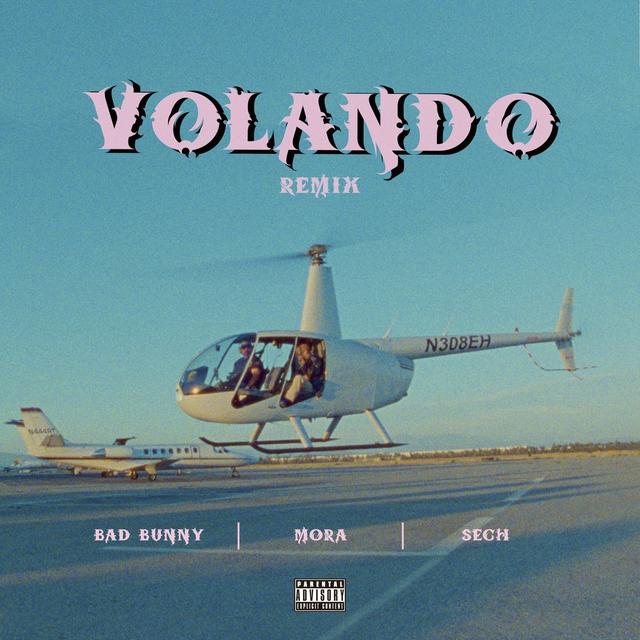 Album cover art for Volando (Remix)