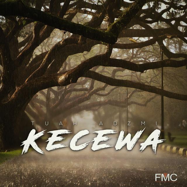 Album cover art for Kecewa