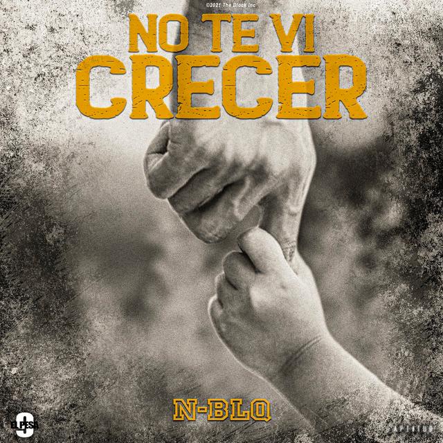 Album cover art for No Te Vi Crecer