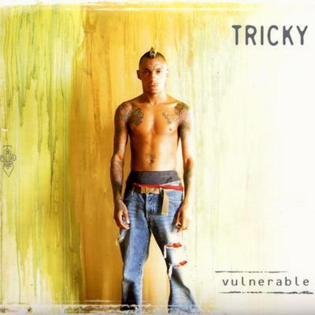 Album cover art for Vulnerable