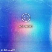 Album cover art for Not Angry