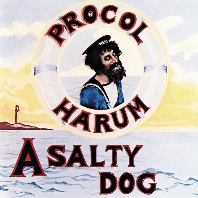 Album cover art for A Salty Dog