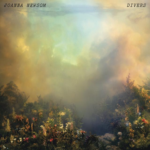 Album cover art for Divers