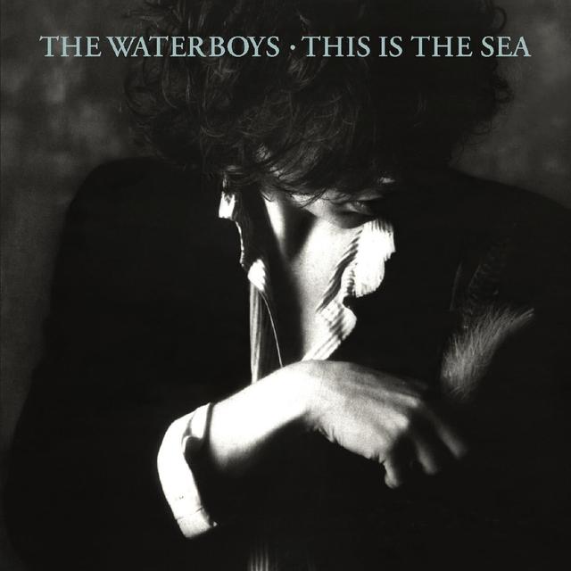 Album cover art for This Is the Sea