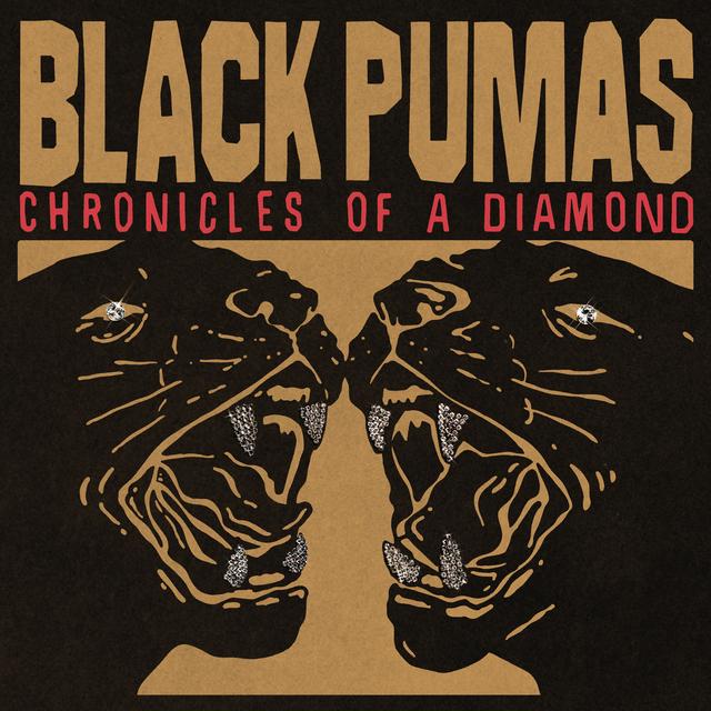 Album cover art for Chronicles of a Diamond