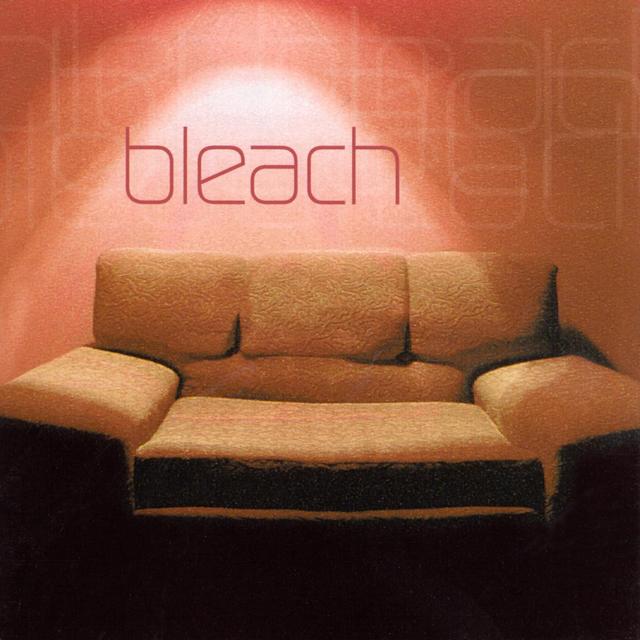 Album cover art for Bleach