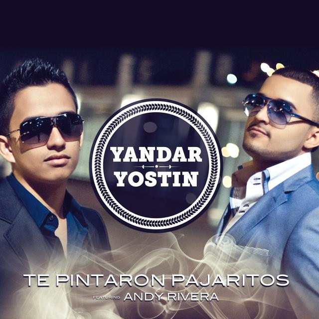 Album cover art for Te Pintaron Pajaritos