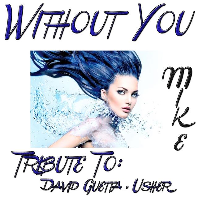 Album cover art for Without You : Tribute to David Guetta, Usher