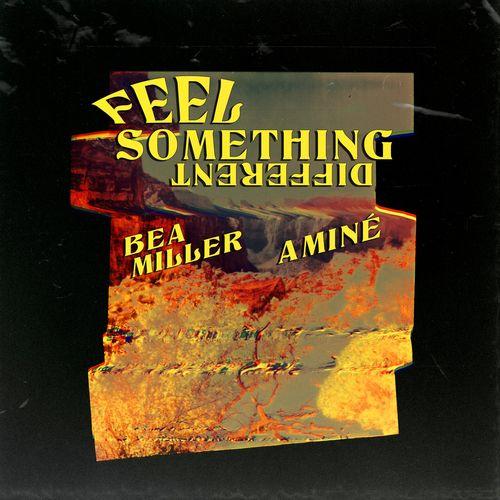 Album cover art for FEEL SOMETHING DIFFERENT