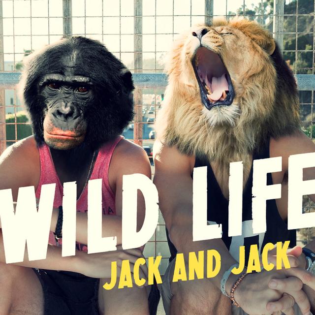 Album cover art for Wild Life