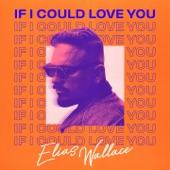 Album cover art for If I Could Love You