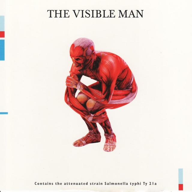 Album cover art for The Visible Man