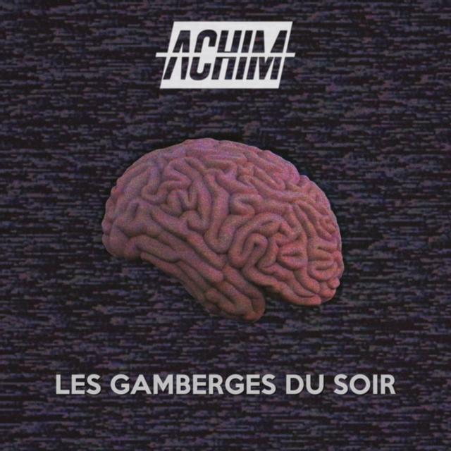 Album cover art for Les gamberges du soir