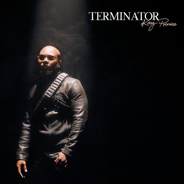 Album cover art for Terminator