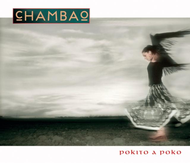 Album cover art for Pokito a Poko