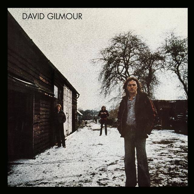 Album cover art for David Gilmour