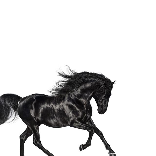 Album cover art for Old Town Road