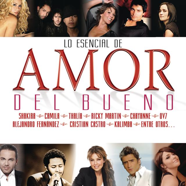 Album cover art for Lo Esencial De Amor Del Bueno Vol.4