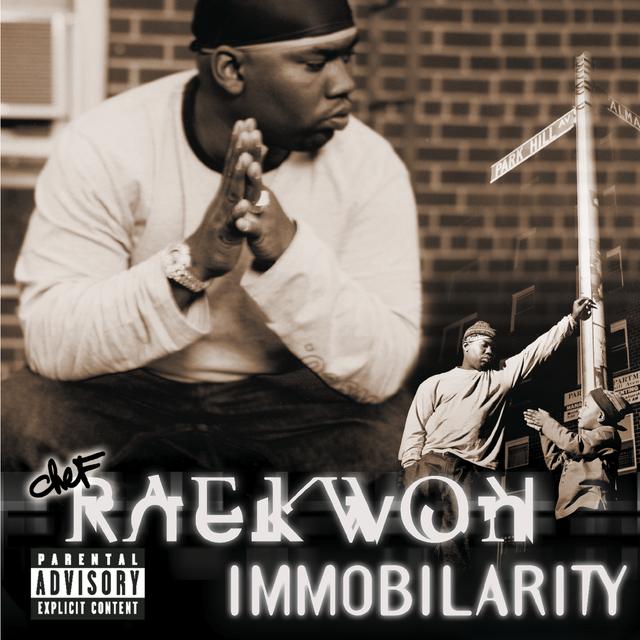 Album cover art for Immobilarity