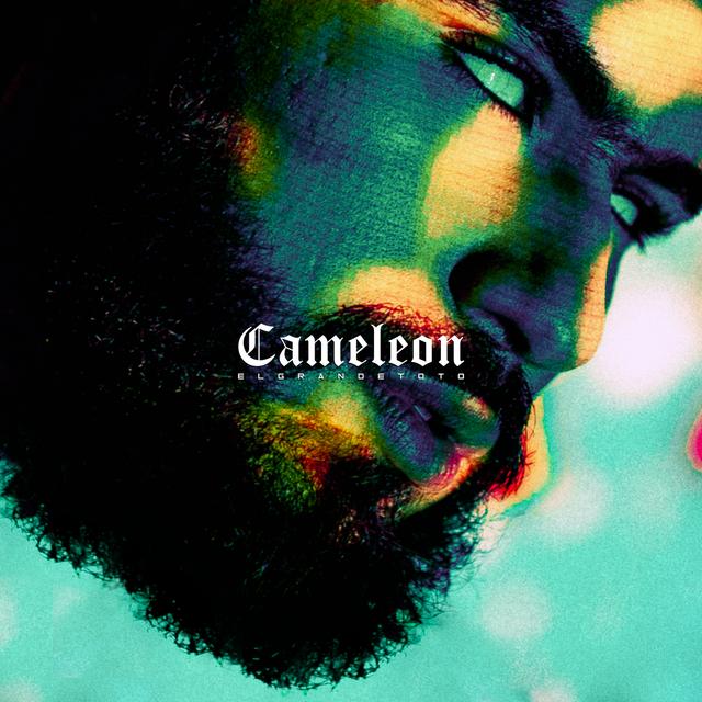 Album cover art for Caméléon