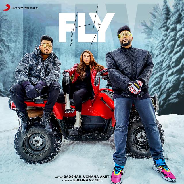 Album cover art for Fly