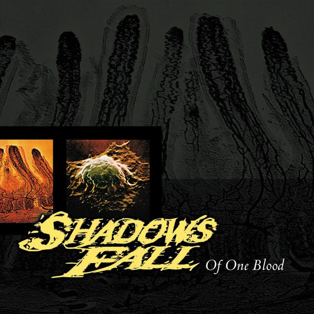 Album cover art for Of One Blood